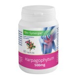 Harpagofito, 500 mg, 60 capsule, Bio-Synergie