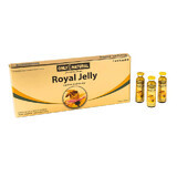 Royal Jelly 300 mg, 10 fiale, Only Natural