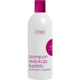 Shampoo antiforfora con ravanello nero, 400 ml, Ziaja