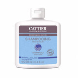 Shampoo bio antiforfora con estratto di salice, 250 ml, Cattier