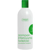 Shampoo per capelli grassi con menta, octopirox e ortica, 400 ml, Ziaja