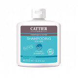 Shampoo volume con olio di crambe abyssinica, 250 ml, Cattier
