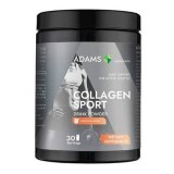 Polvere istantanea al gusto pesca Collagen Sport Active Line, 600 g, Adams
