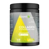 Polvere istantanea al gusto di vaniglia Collagen HA Active Line, 600 g, Adams