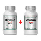 Estratto di incenso Boswellia Serrata, 500 mg, 60 + 30 capsule vegetali, Cosmopharm