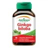 Ginkgo Biloba Jamieson 90 Compresse