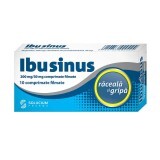 Ibusinus raffreddore e influenza, 10 compresse, Solacium Pharma