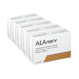 ALAnerv, 100 (5x20)  capsule softgel, Alfasigma