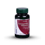 Ashwagandha + Magnesio, 60 capsule, DVR Pharm