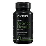 Estratto di Branca Ursului, 380 mg, 60 capsule, Niavis