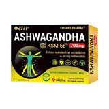 Ashwagandha KSM-66, 700 mg, 30 capsule, Cosmopharm