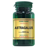 Estratto di astragalo 9000 mg, 60 capsule, Cosmopharm