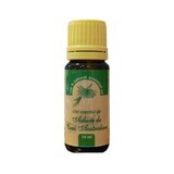 Olio essenziale di tea tree australiano, 10 ml, Herbavit
