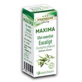 Olio essenziale di eucalipto Maxima, 10 ml, Justin Pharma
