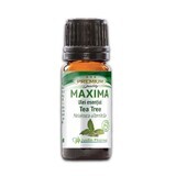 Olio essenziale di tea tree, 10 ml, Justin Pharma