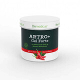 Artro+ Gel Forte con estratto di peperoncino e artiglio del diavolo, 250 ml, Biomedicus