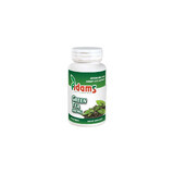 Tè verde 400 mg, 60 capsule, Adams