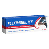 Fleximobil gel di ghiaccio, 170g, Fiterman