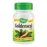 Goldenseal Root, 30 capsule, Nature's Way 