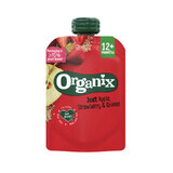 Snack di mele, fragole e quinoa, 100 gr, Organix