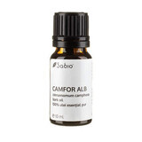 CANFORA BIANCA, olio essenziale (cinnamomum camphora), 10 ml, Sabio