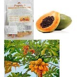 Pezzi di papaia biologica, 150 g, Managis