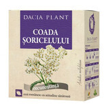 Tè Dragontail, 50g, Pianta Dacia
