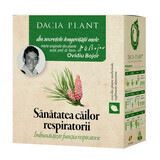 Tisana medicinale Salute respiratoria, 50 g, Pianta Dacia