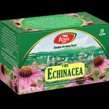 Tè Echinacea, 20 bustine, Fares