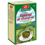 Tè alla radice di ortica viva U95, 50 g, Fares