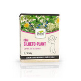 Tè alla pianta Silueto, 150 g, pianta di Dorel