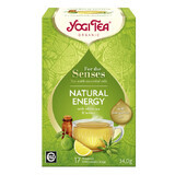 Tè biologico con oli essenziali Energia naturale per i sensi, 17 bustine, Yogi Tea