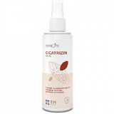 Cicatrizin spray, 100 ml, Tis Farmaceutic