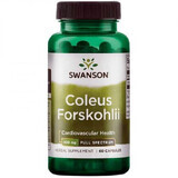 Coleus Forskohlii, 60 capsule, Swanson Health USA