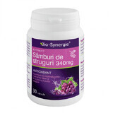 Estratto di semi d'uva 340 mg, 30 capsule, Bio Synergie