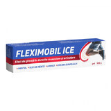 Fleximobil gel di ghiaccio, 100g, Fiterman