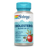 Miscela di colesterolo Solaray, 60 capsule, Secom