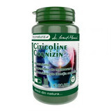 Citicolina Cognizin 270mg, 60 capsule, Pro Natura
