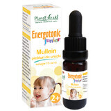 Gocce per le orecchie Energotonic Junior Mullein, 15 ml, estratto vegetale