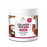 Biocyte Collagen Max Cacao 20x13g