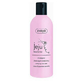 Ziaja Jeju Pink - Shampoo per uso quotidiano 300 ml