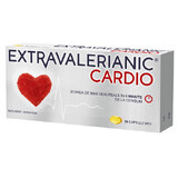 Extravalerianic Cardio, 15 capsule, Biofarm