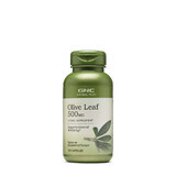 Gnc Herbal Plus Olive Leaf 500mg, Estratto di foglie di olivo, 100 Cps