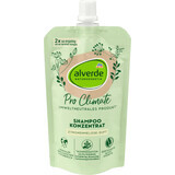 Shampoo concentrato Alverde Naturkosmetik Pro Climate, 100 ml