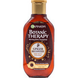 Shampoo Botanic Therapy con zenzero e miele biologici, 250 ml