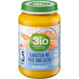 DmBio Menu carote con riso e salmone ECO 5+, 190 g