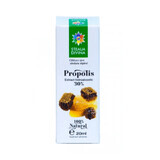 Propolis tincture, 20 ml, Divine Star