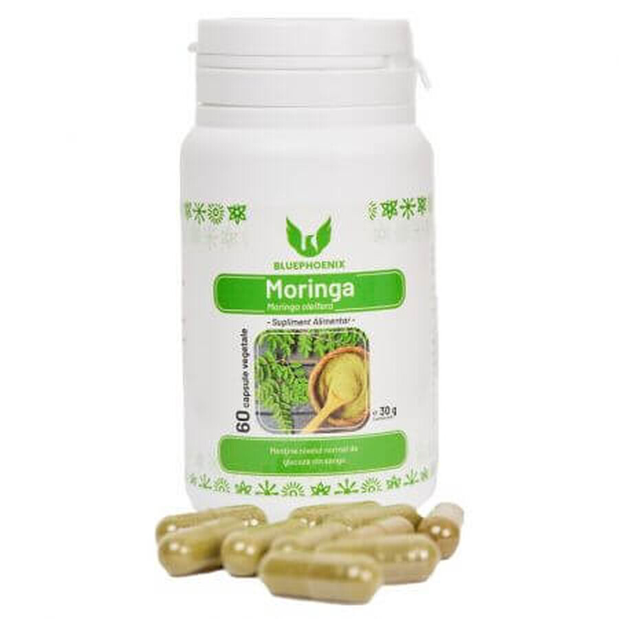 Moringa, 60 capsule, Blue Pheonix