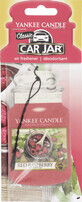 Yankee Candle Deodorante per auto al profumo di lampone, 1 pz