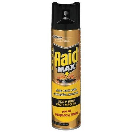 Raid Spray contro scarafaggi, 300 ml